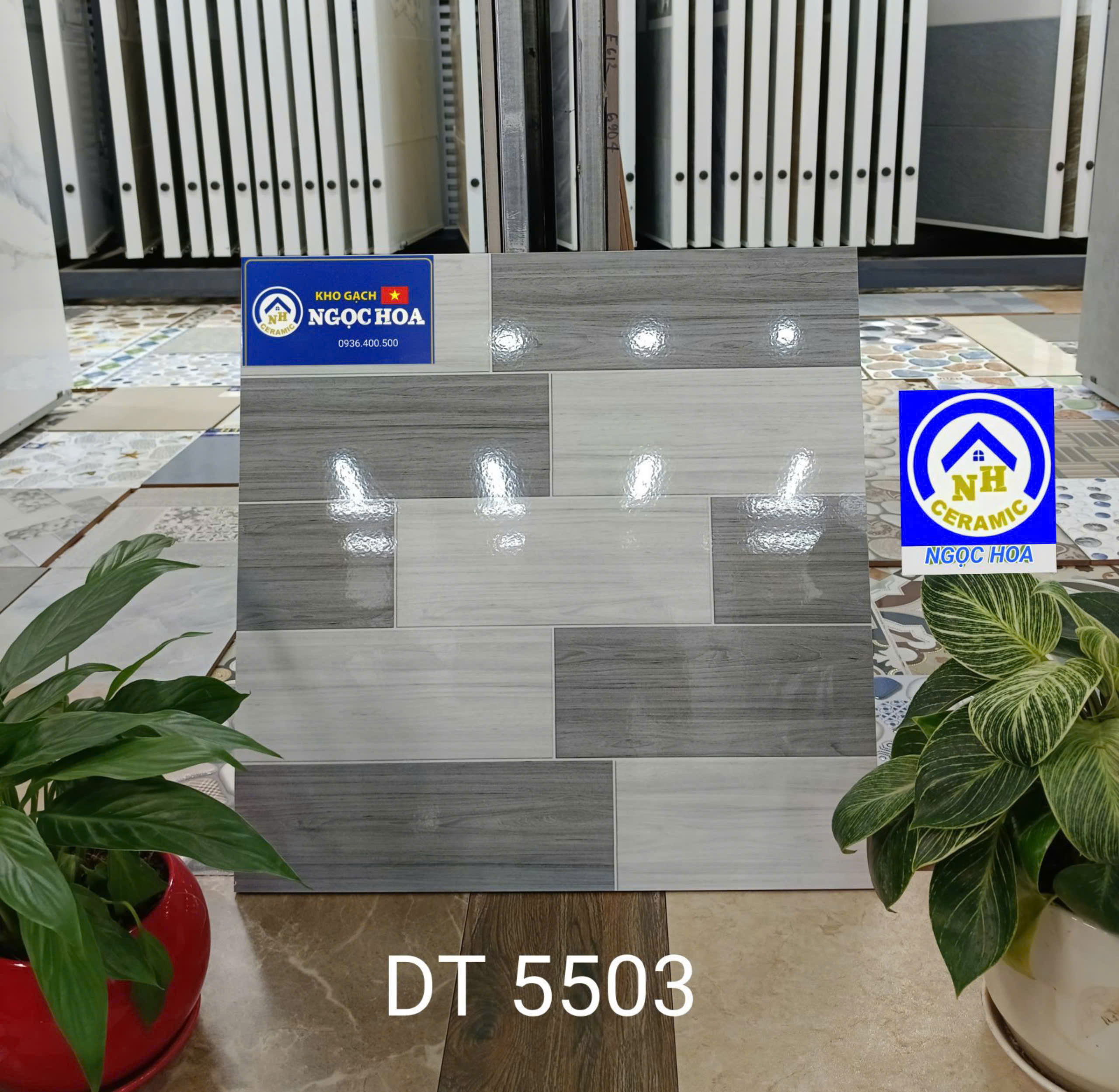 gạch lát nền 5503