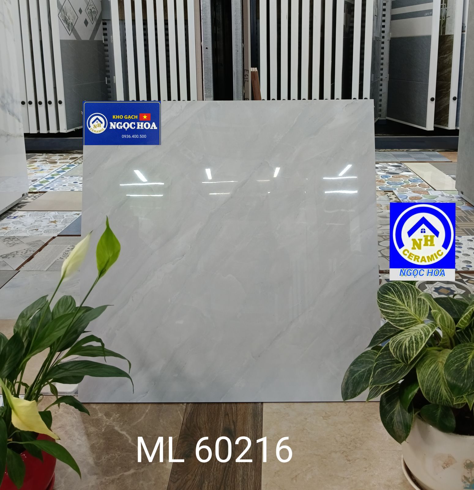 gach lát nền 60216