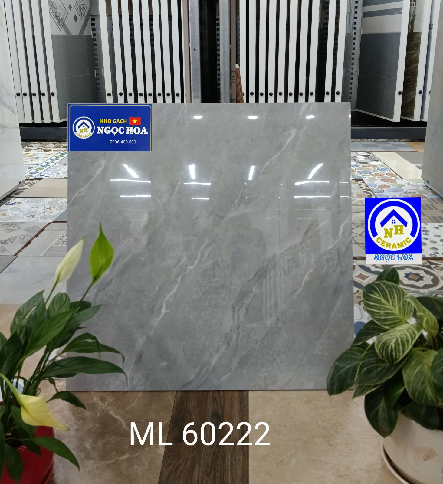 gạch lát nền 60222