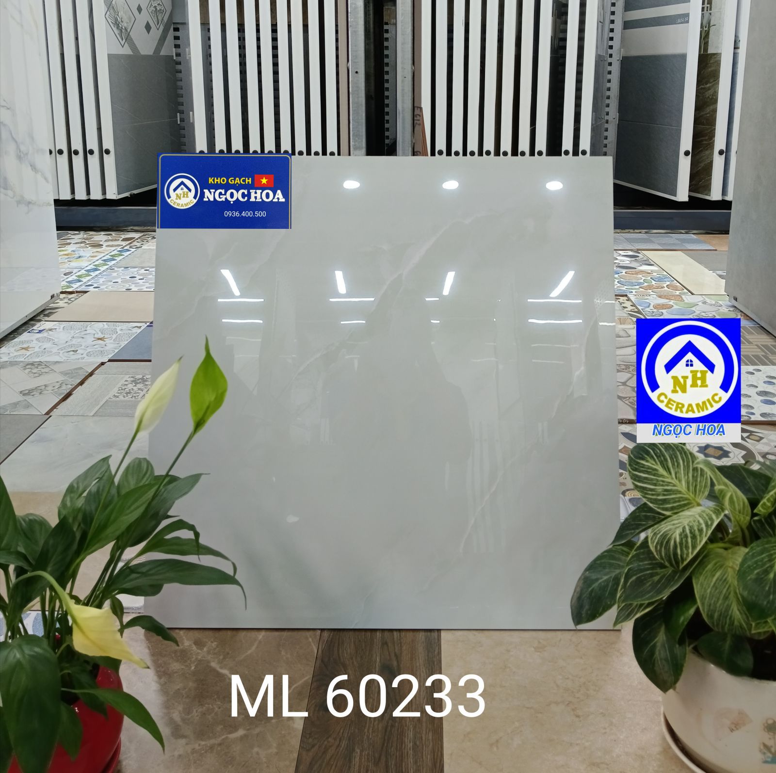 gạch ốp lát  60233