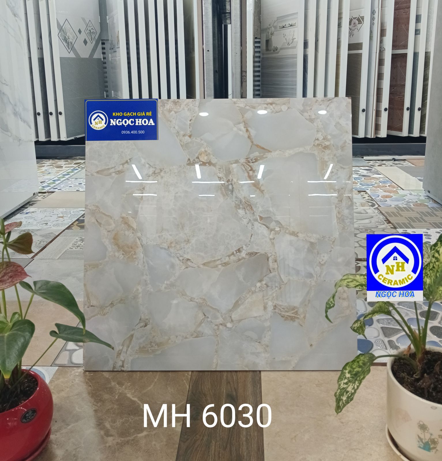 gạch lát nền 6030