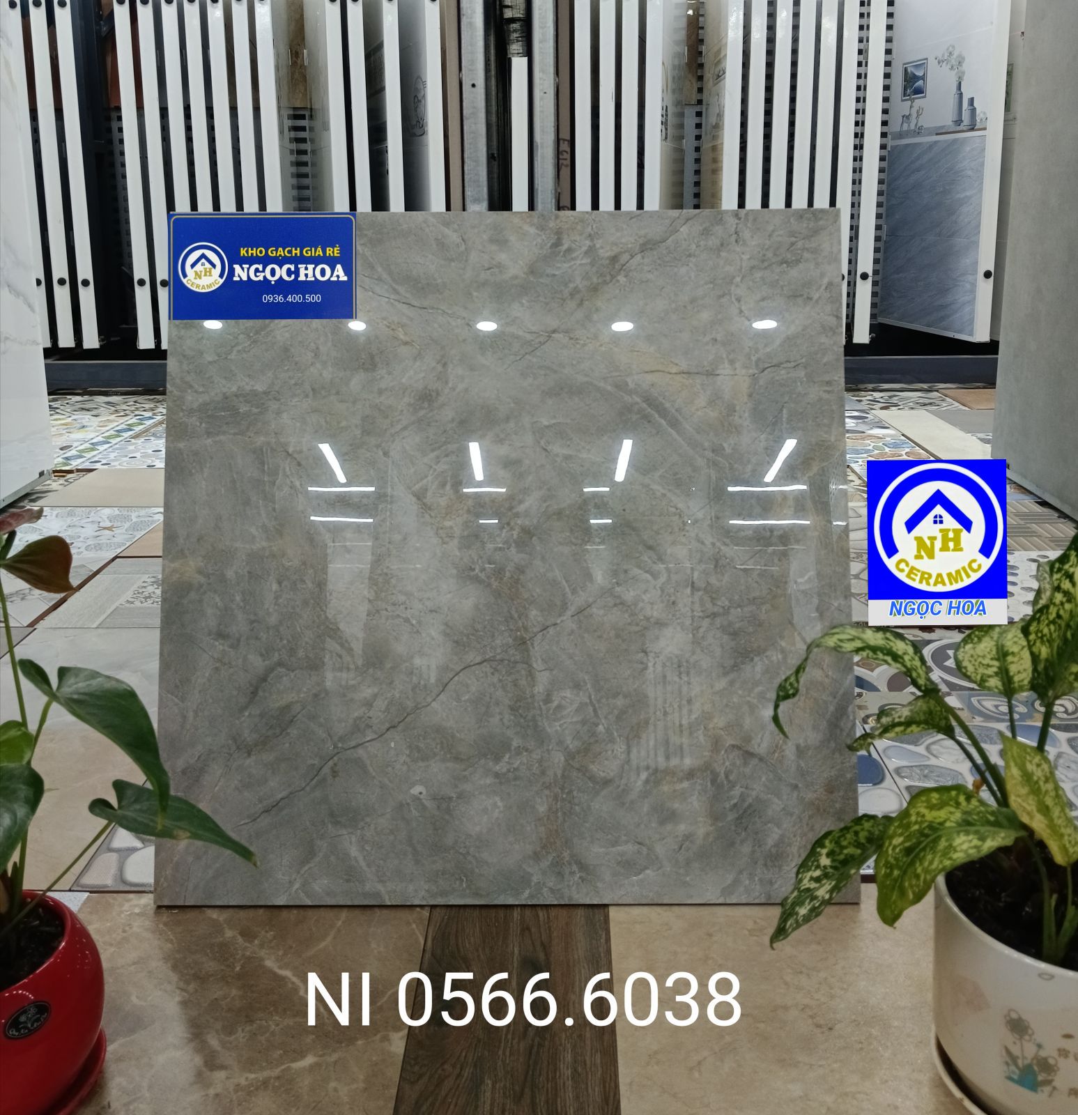 gạch lát nền 6038