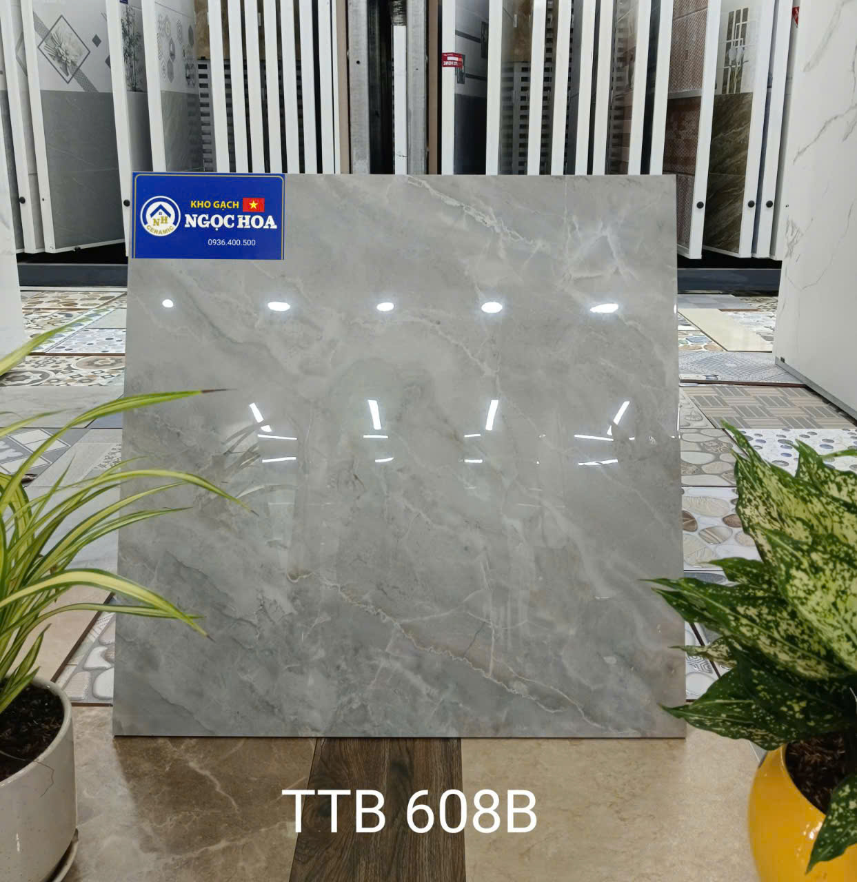 gạch lát nền 608B