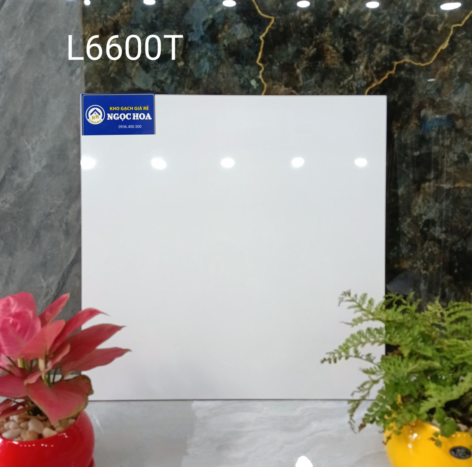 Gạch ốp lát 6600