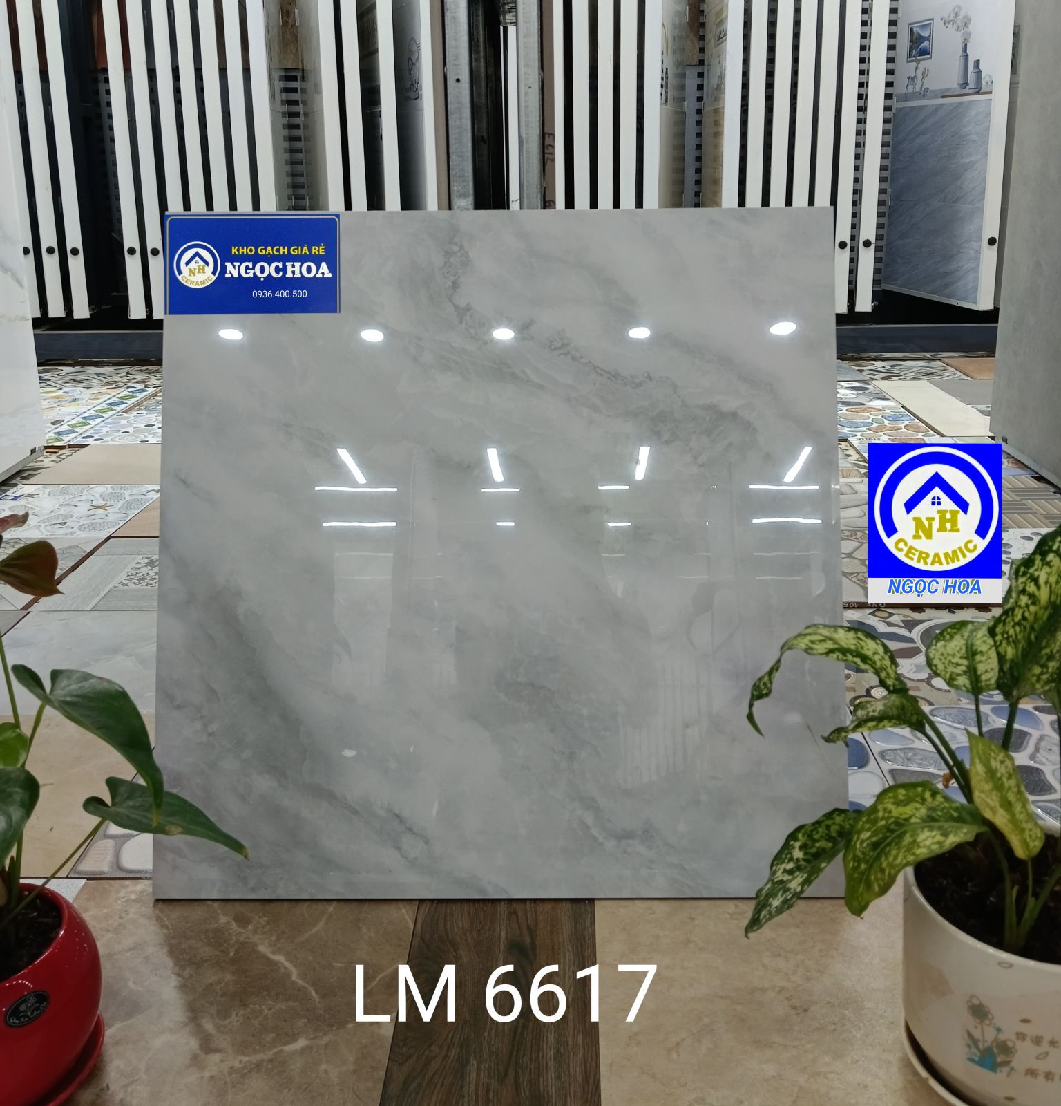 gạch lát nền 6617