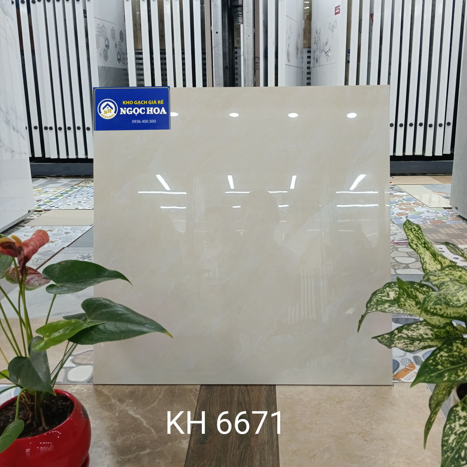 gạch lát nền 6671