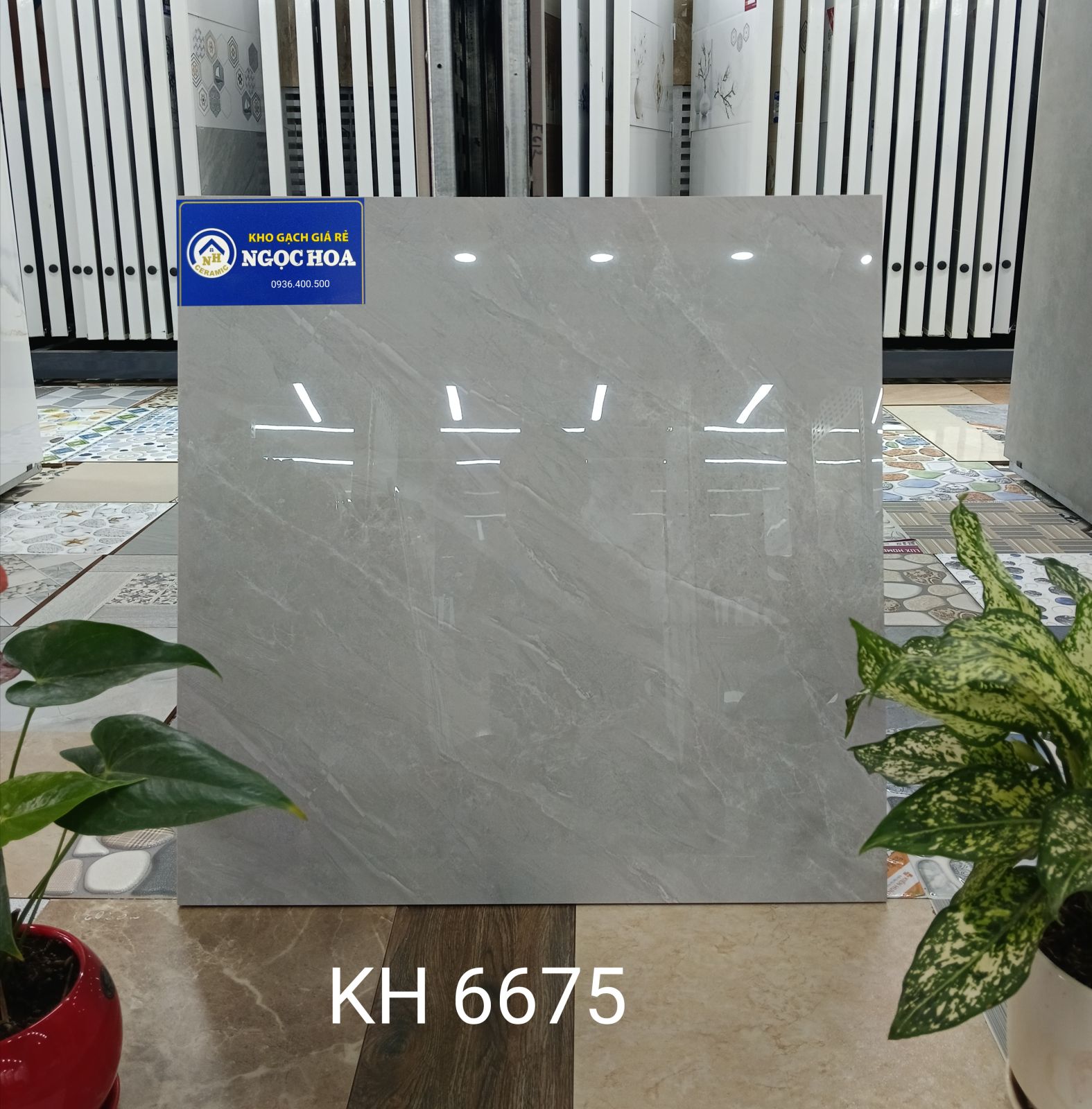 gạch lát nền 6675