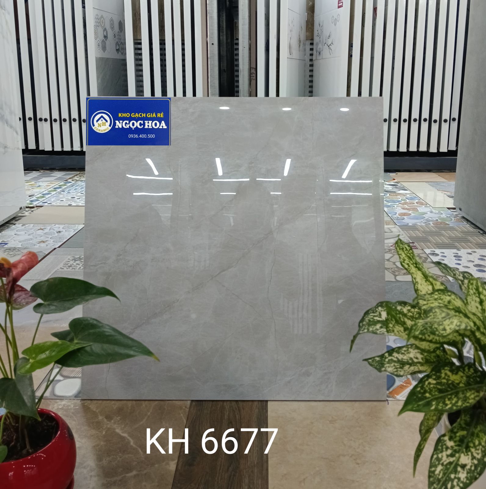 gạch lát nền 6677