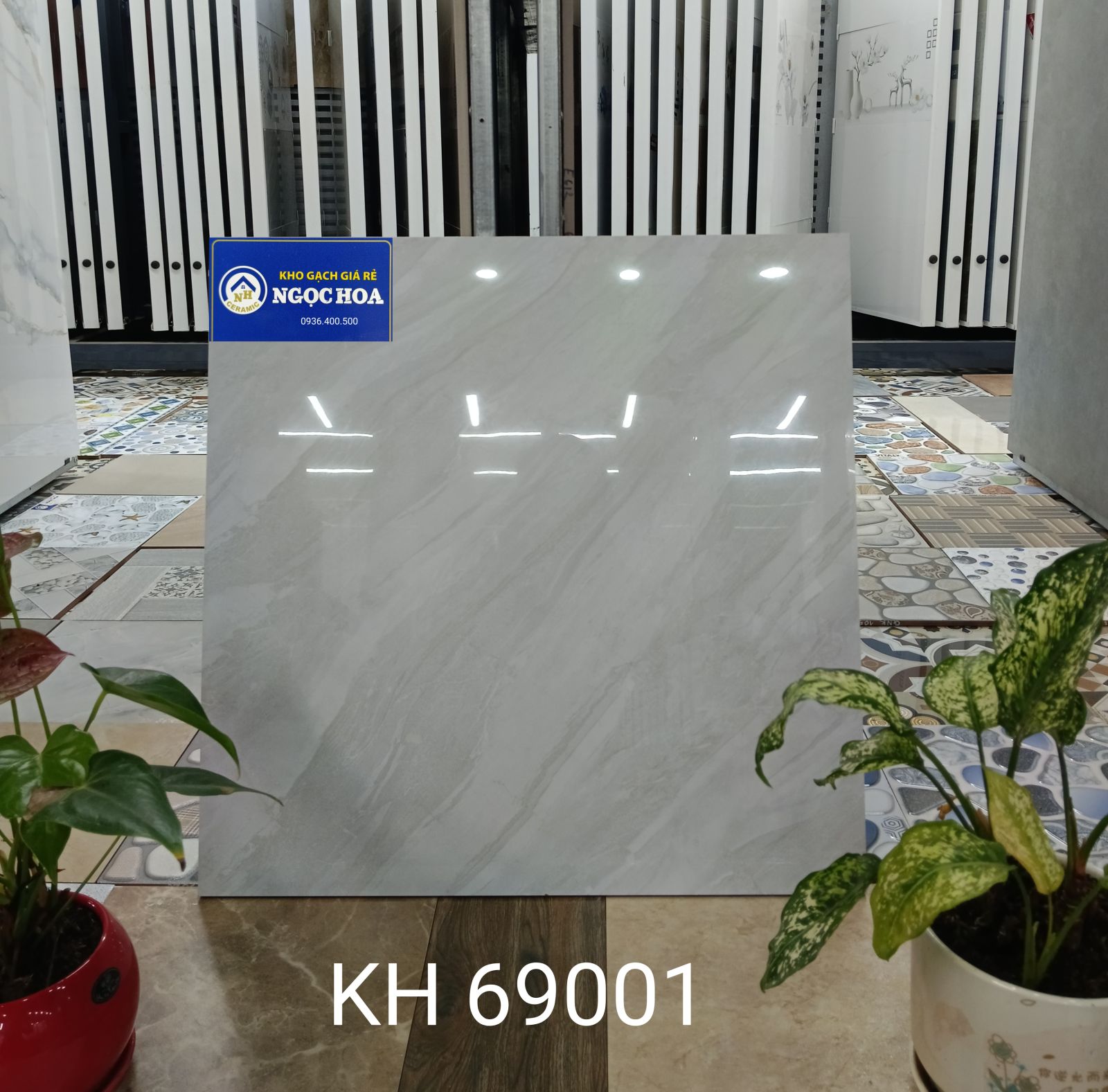 gạch lát nền 69001