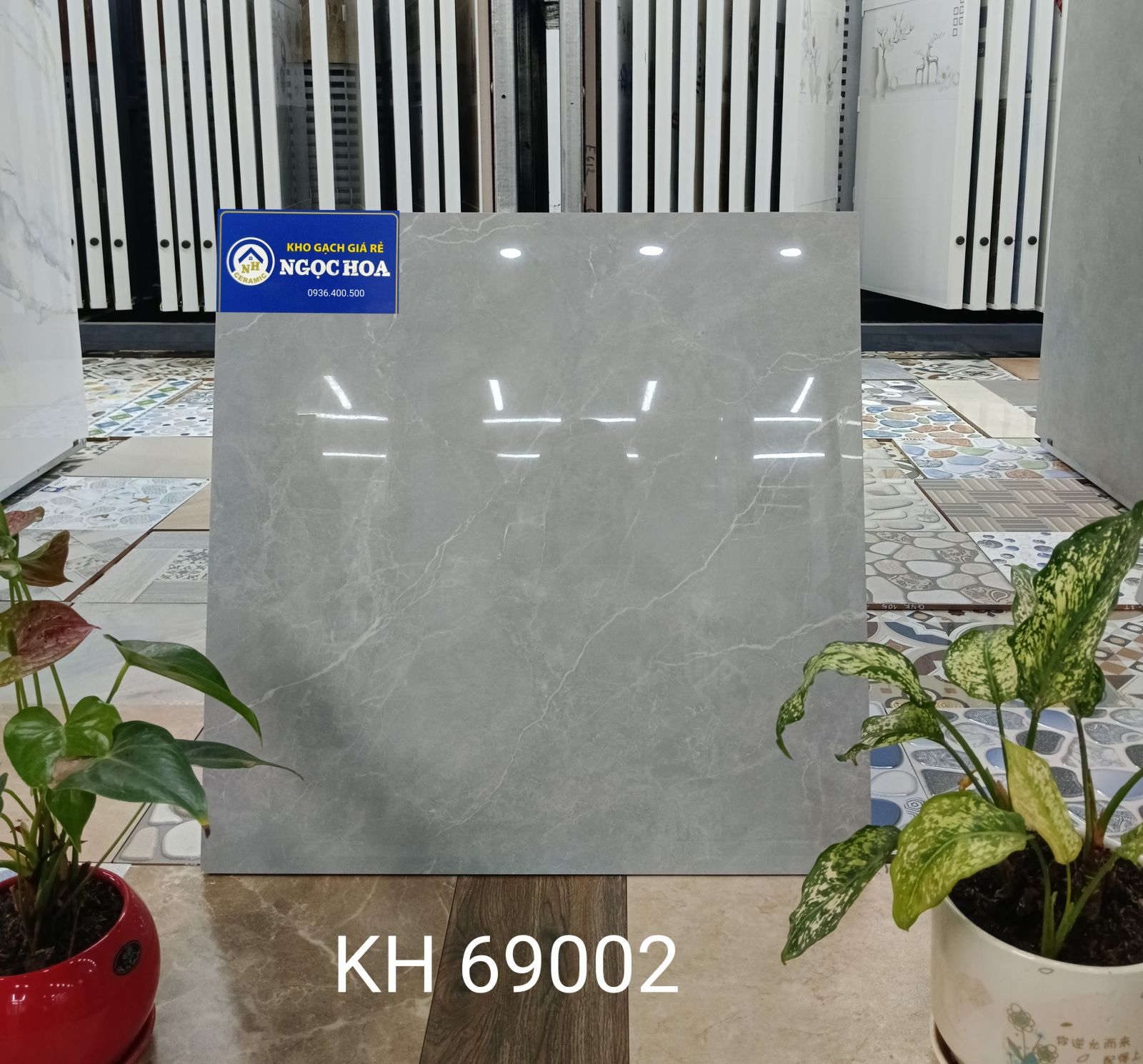 gạch lát nền 69002