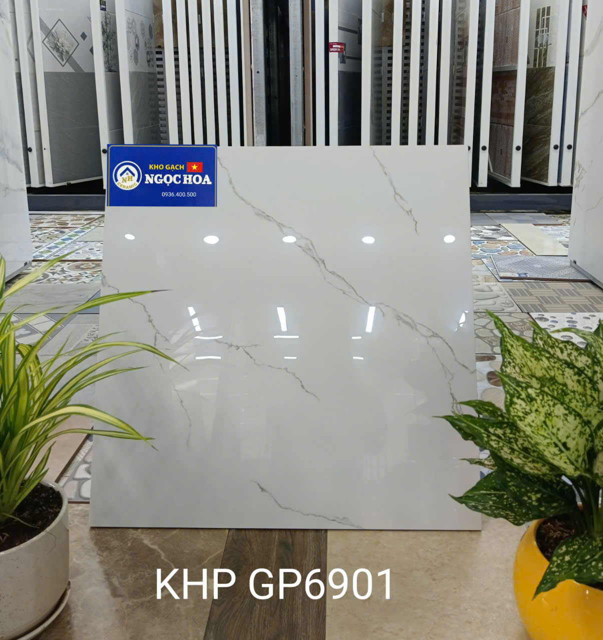 gạch lát nền 6901