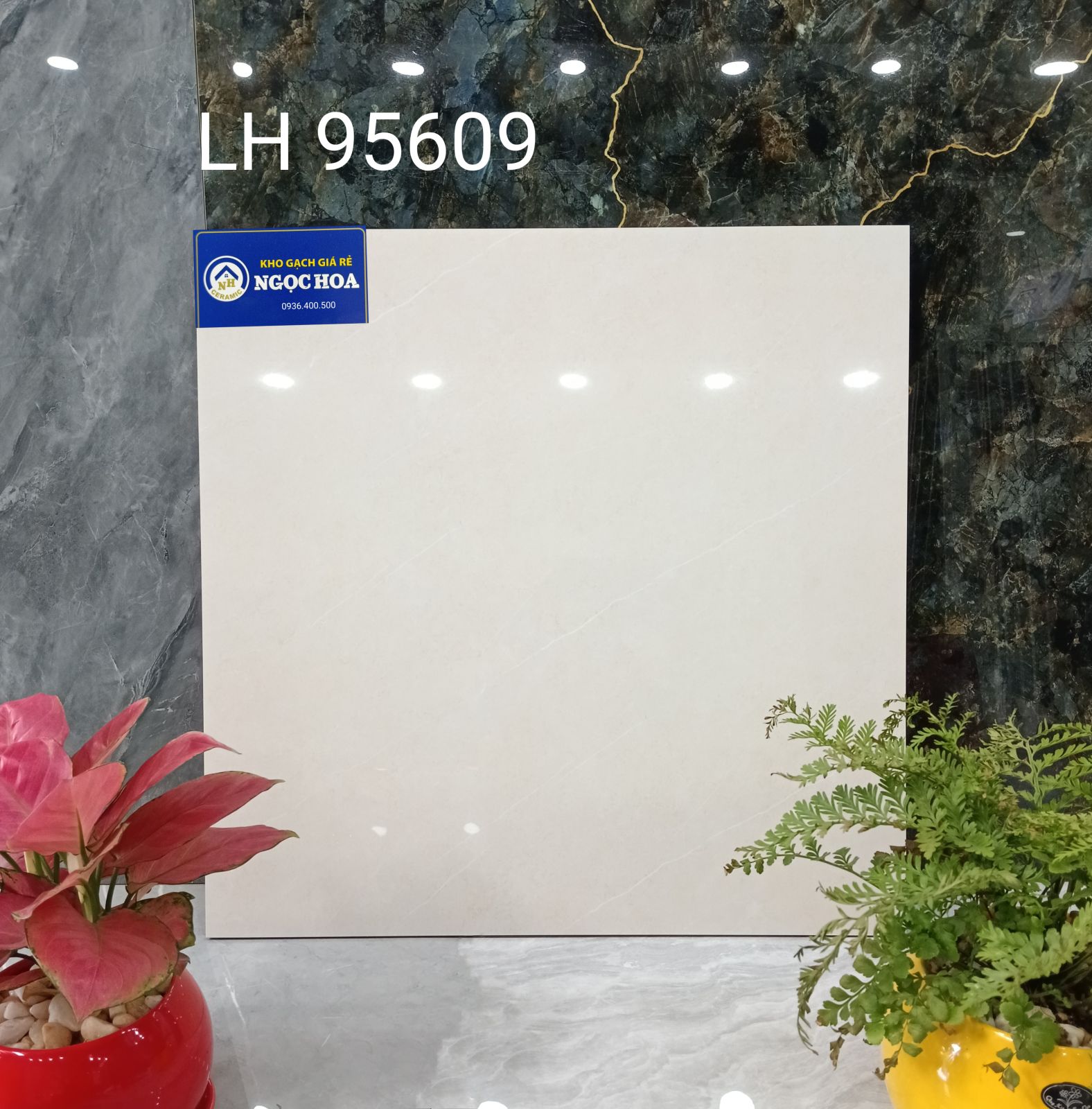 gạch ốp lát 95609