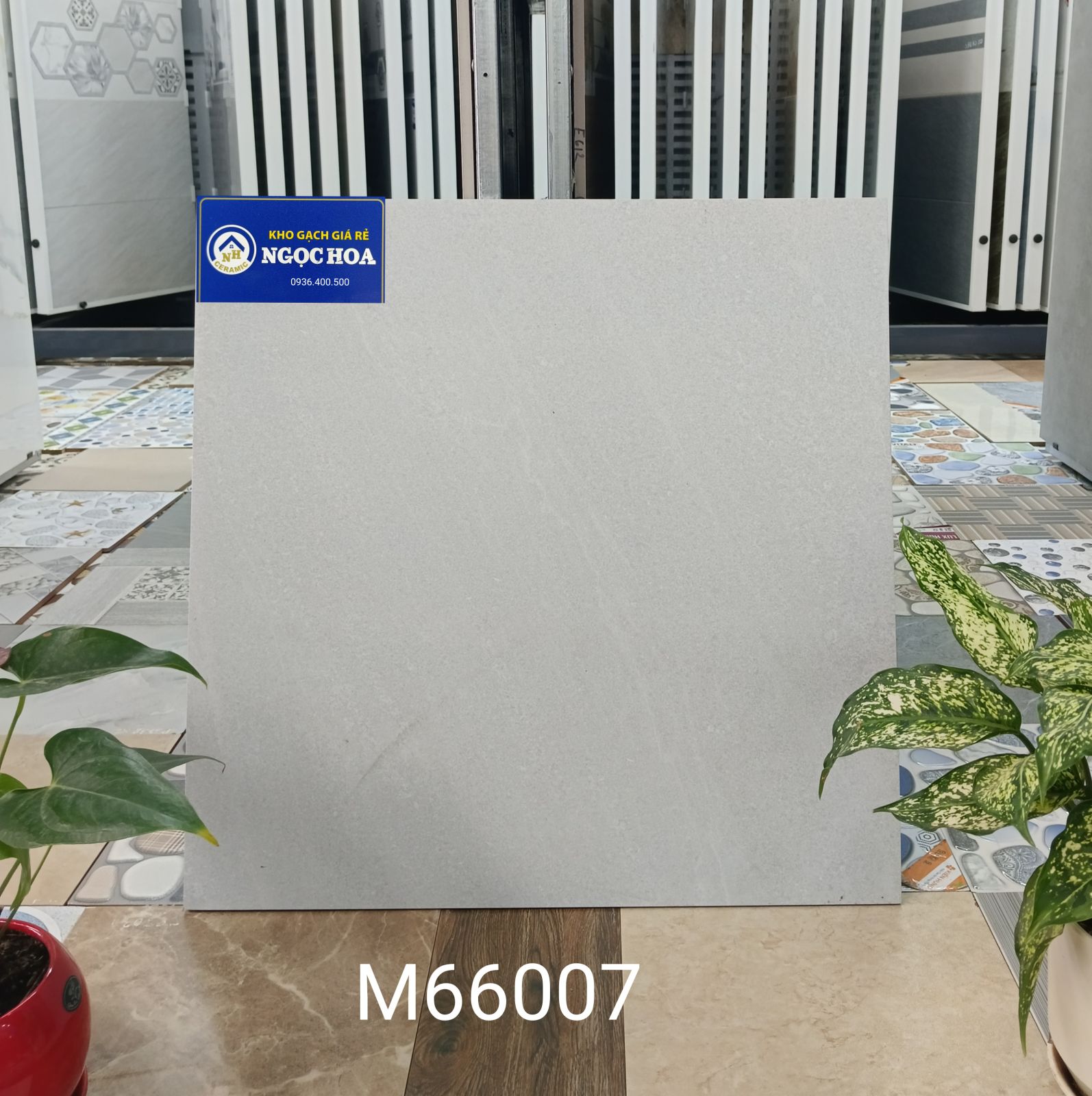 gach lát nền 66007