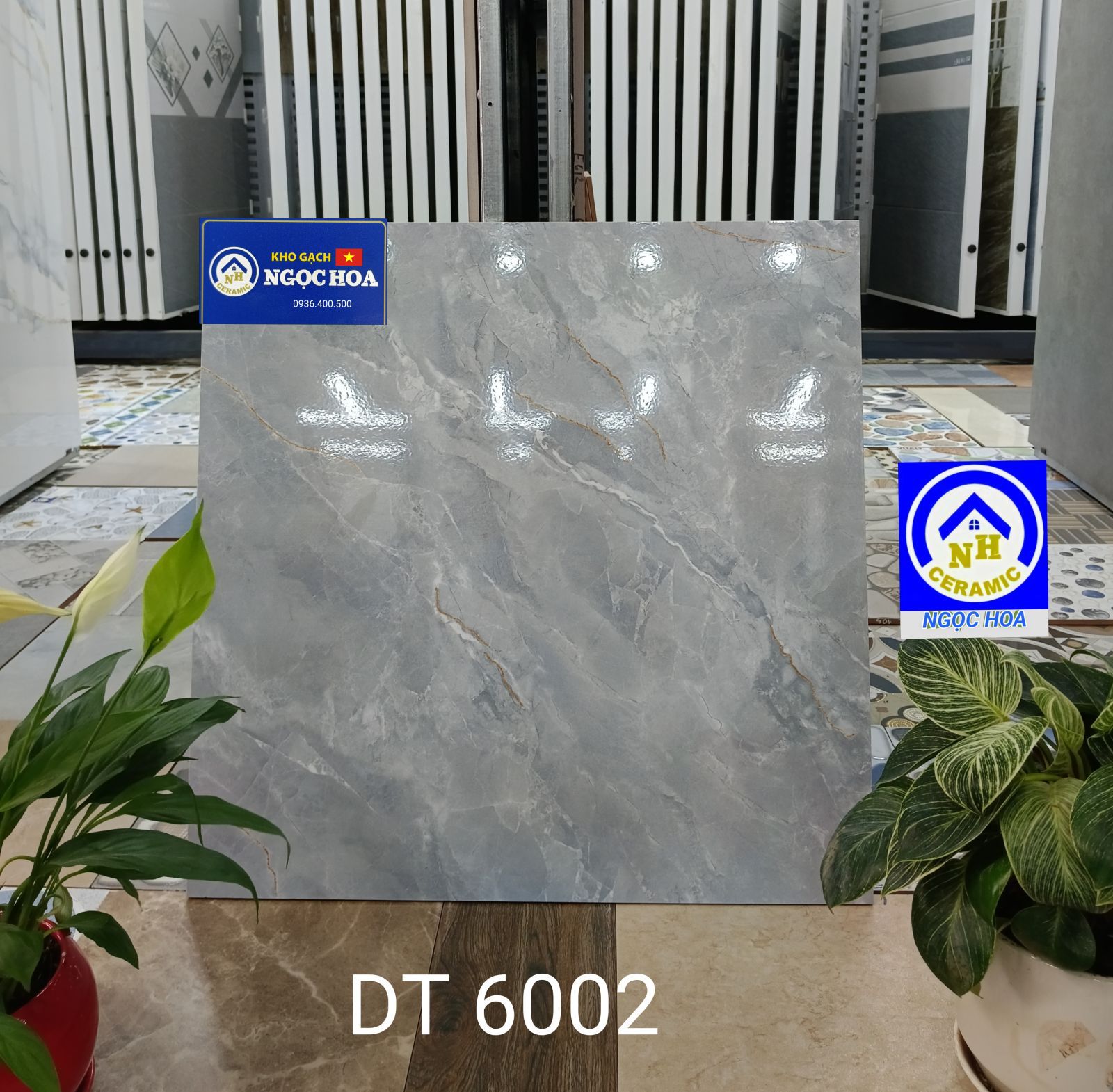 gạch lát nền 6002