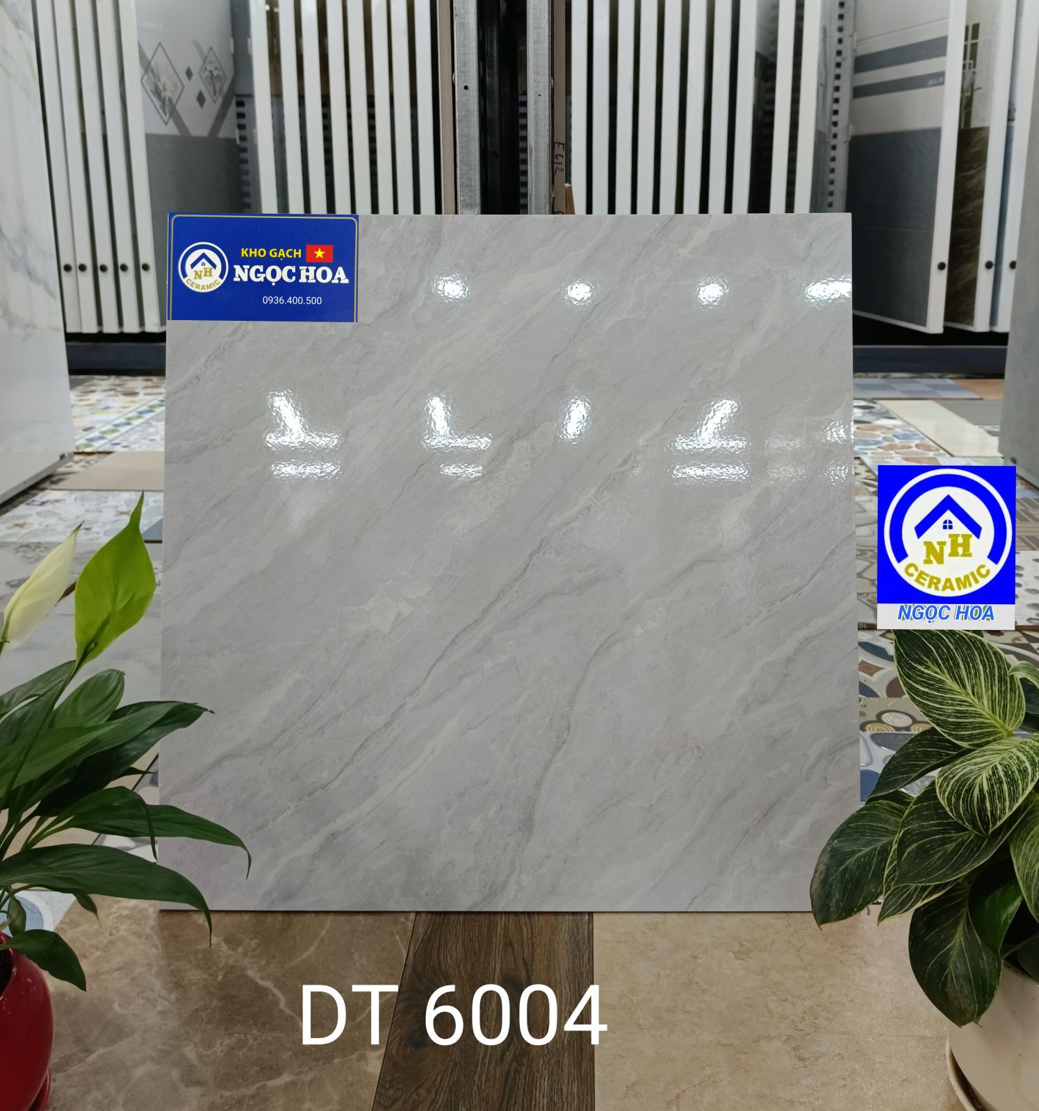 gạch lát nền 6004