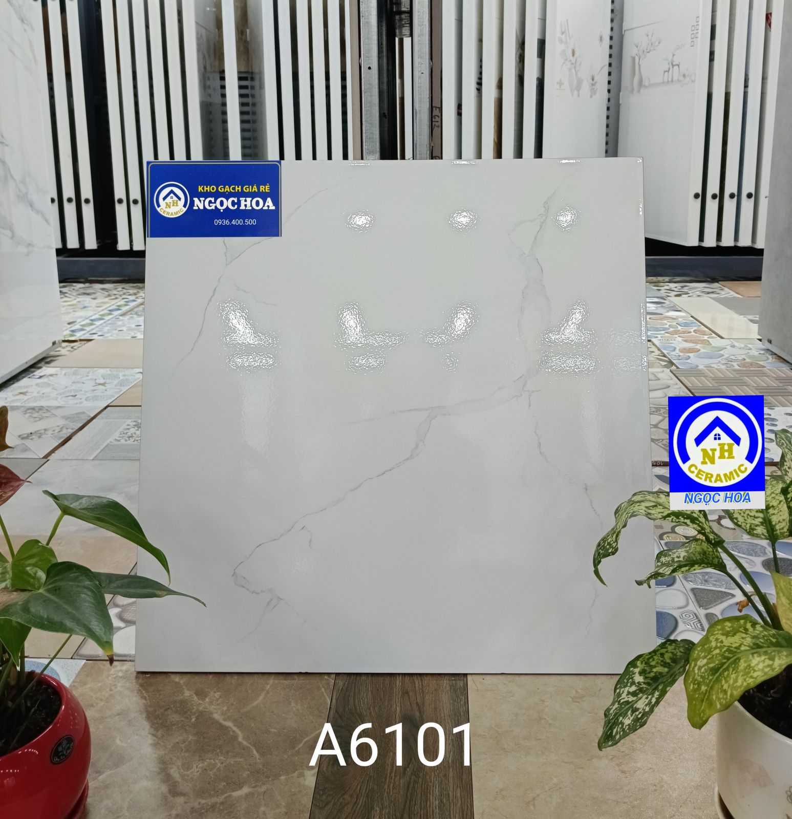 gạch lát nền 6101