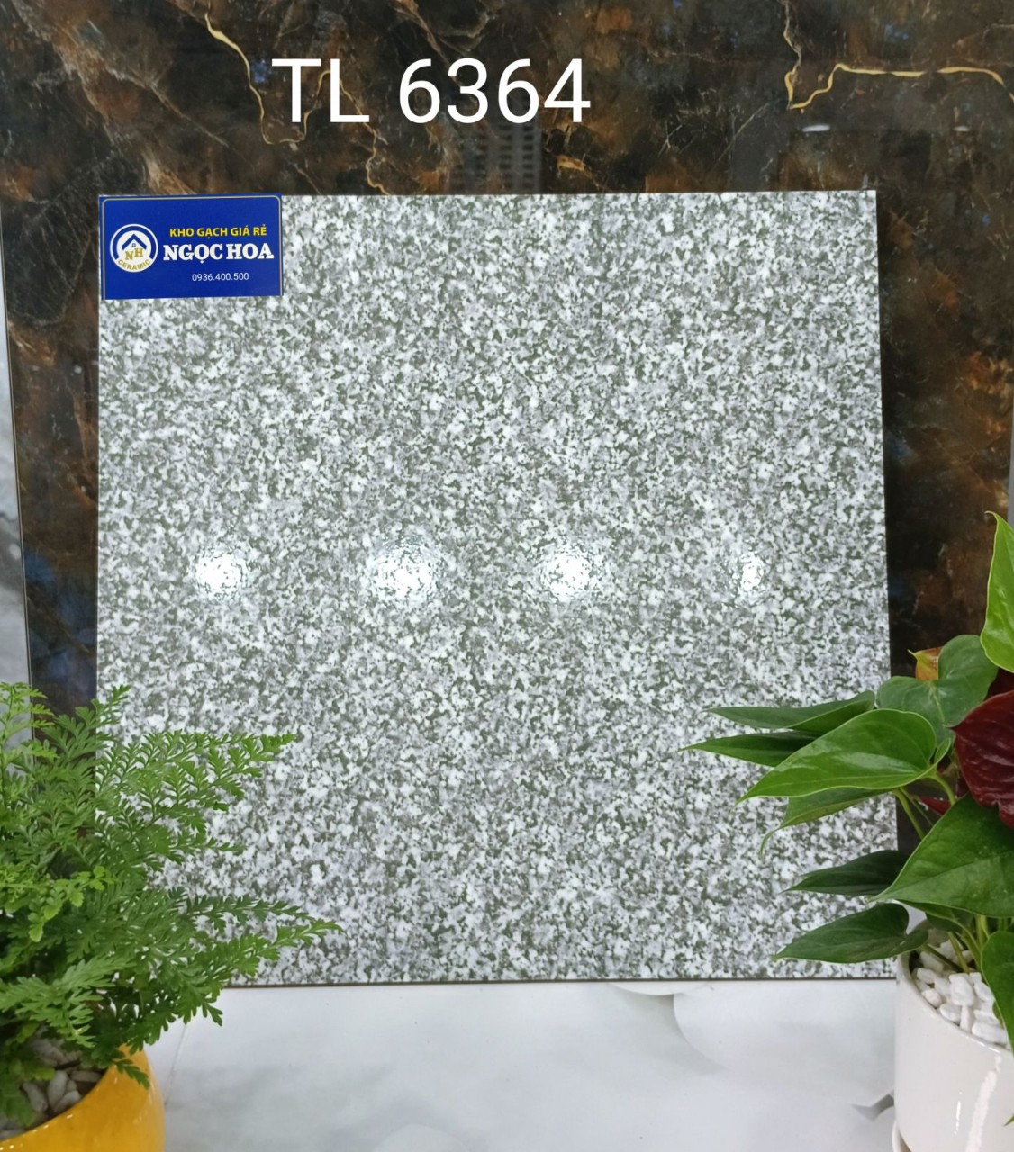 gạch lát nền 6364