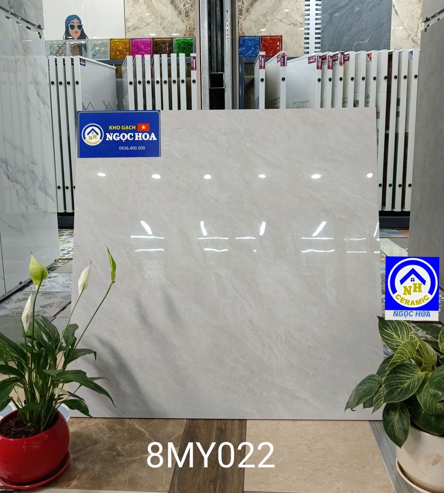 gạch lát nền 8MY022