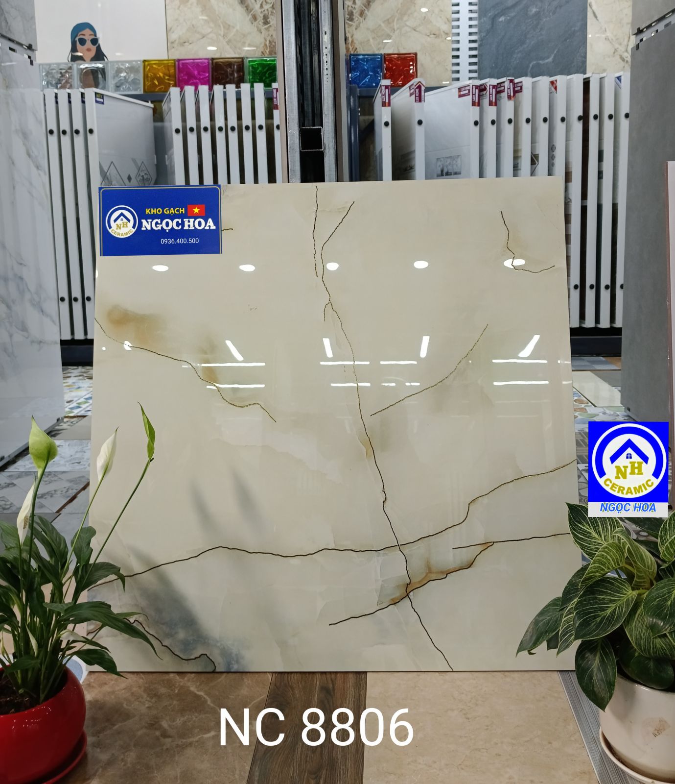 gạch lát nền 8806