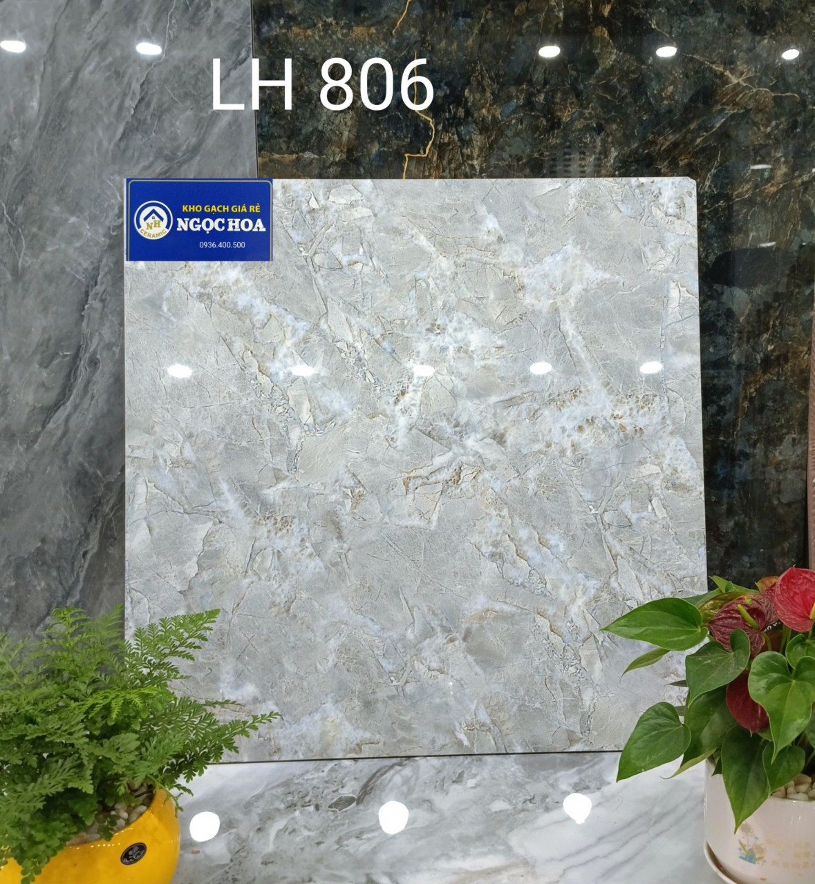 gạch lát nền 806