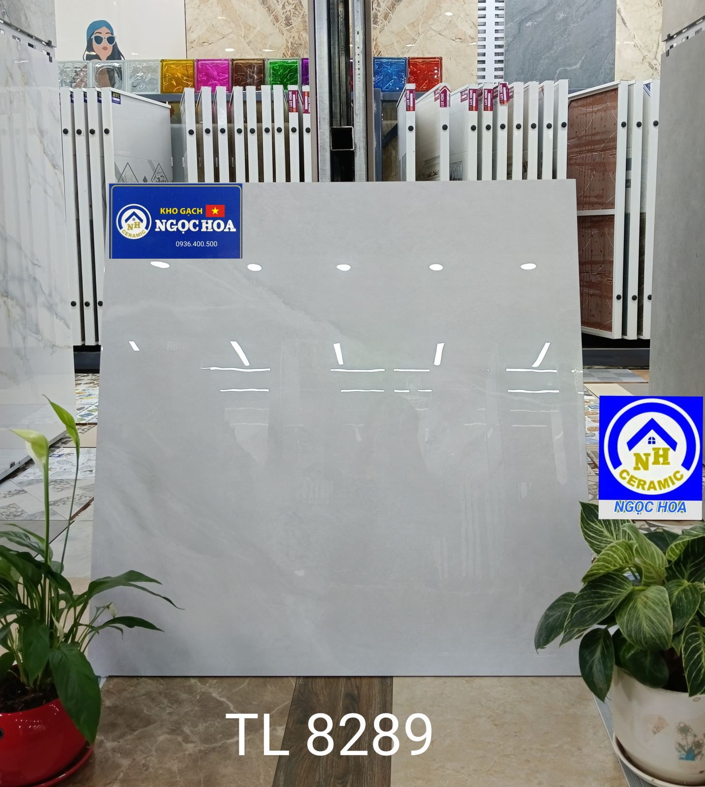 gạch lát nền 8289