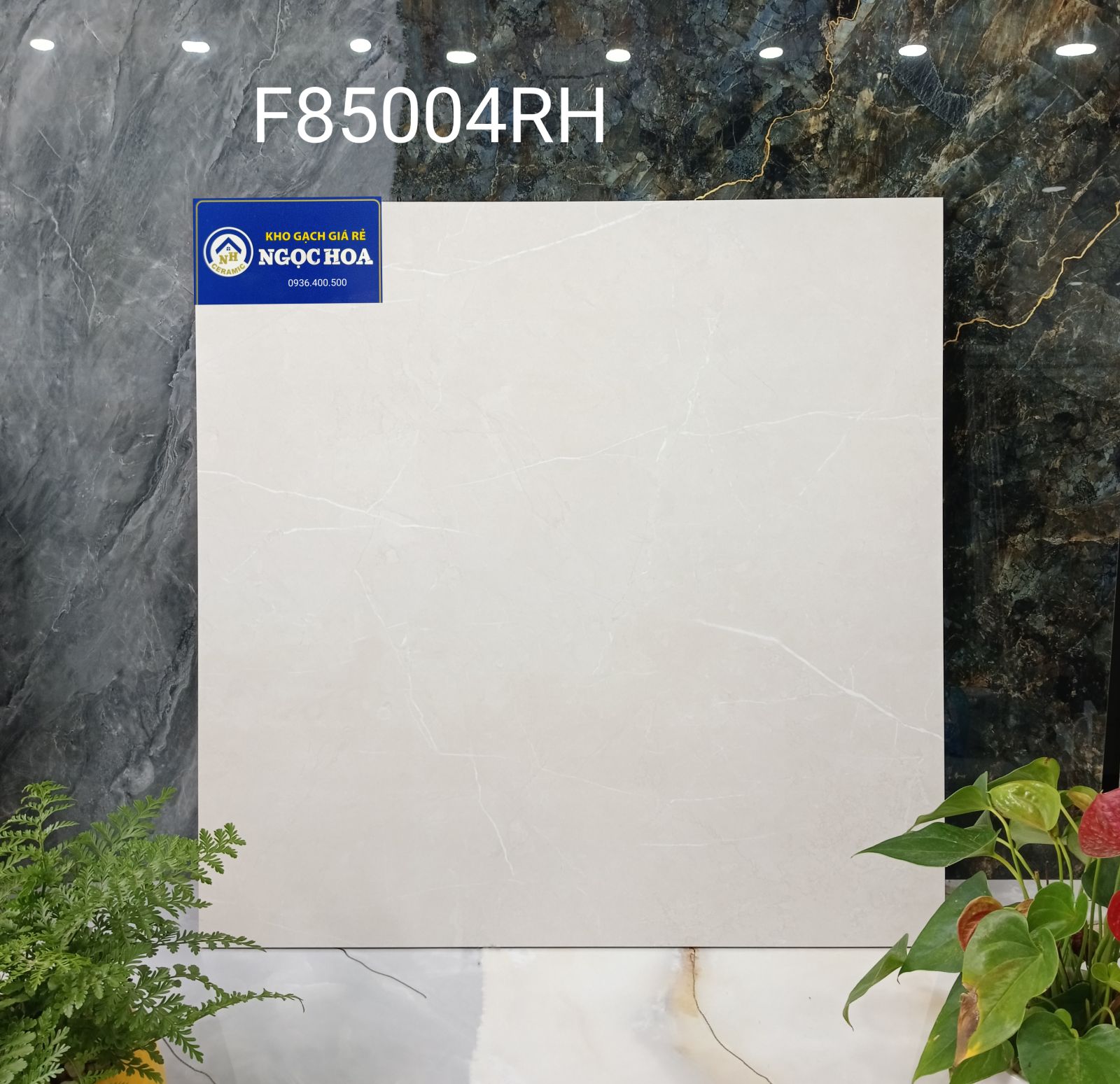 gạch lát nền 85004