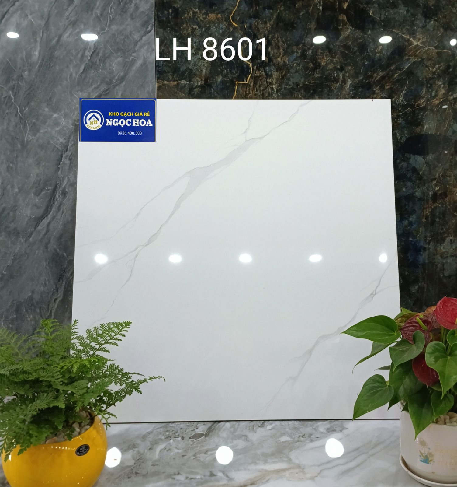 gạch lát nền 8801