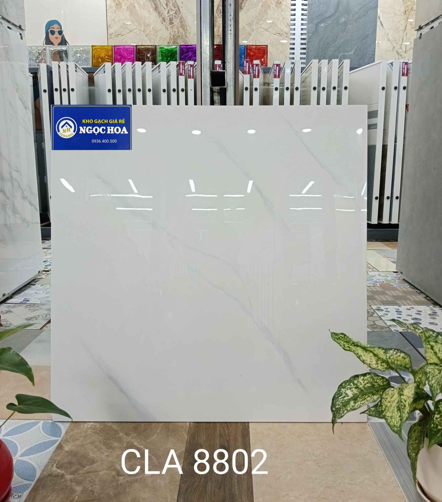 gạch lát nền 8802