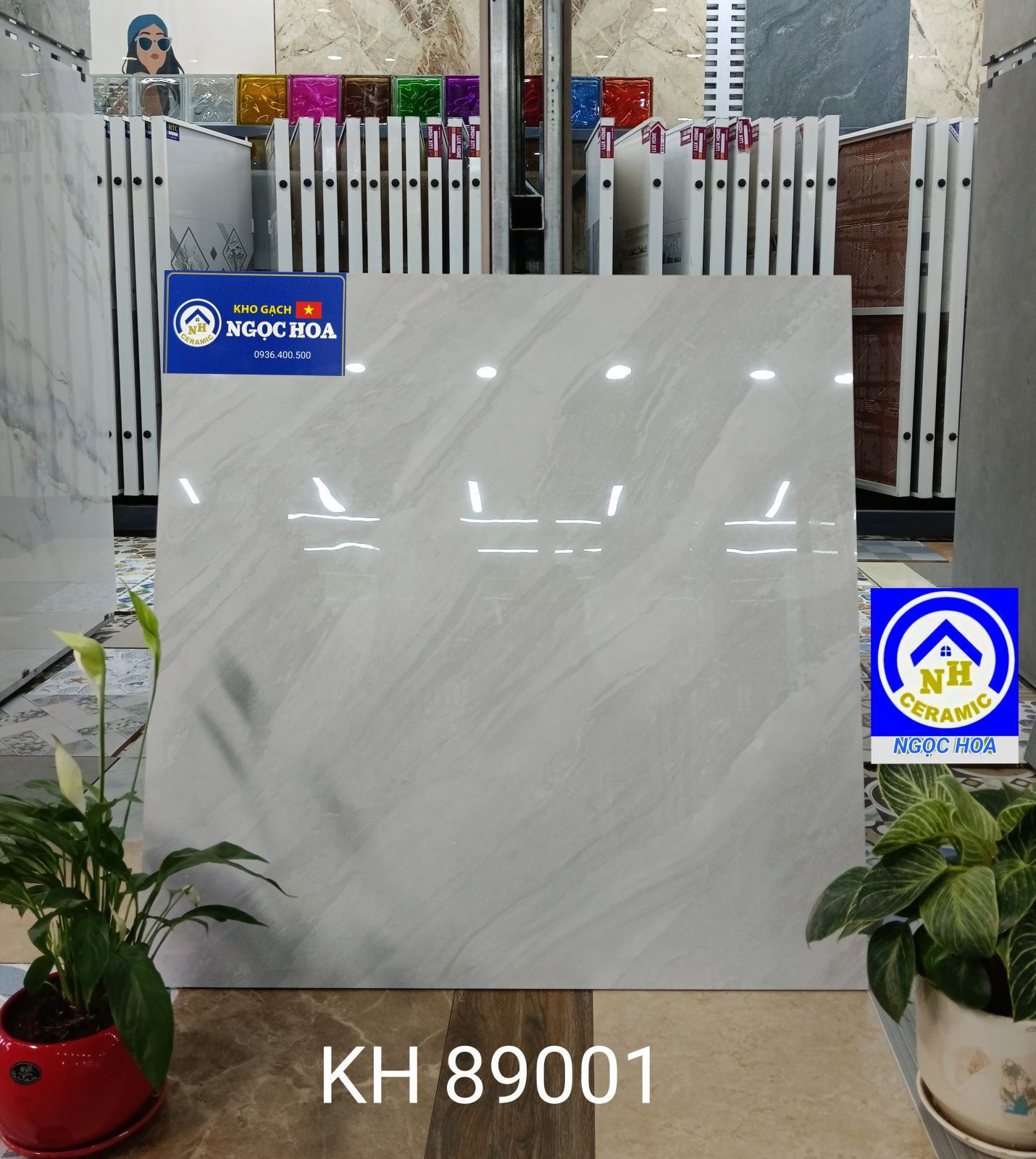 gạch lát nền 89001