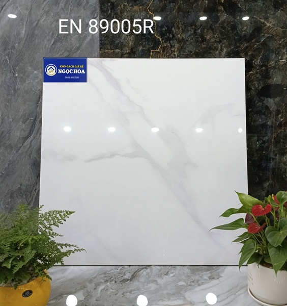 gạch lát nền 89005