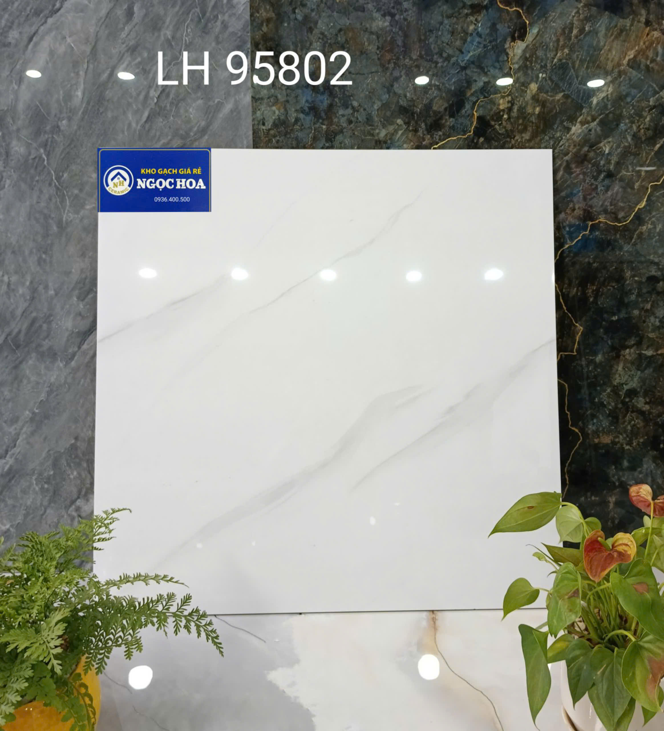 gạch ốp lát 95802