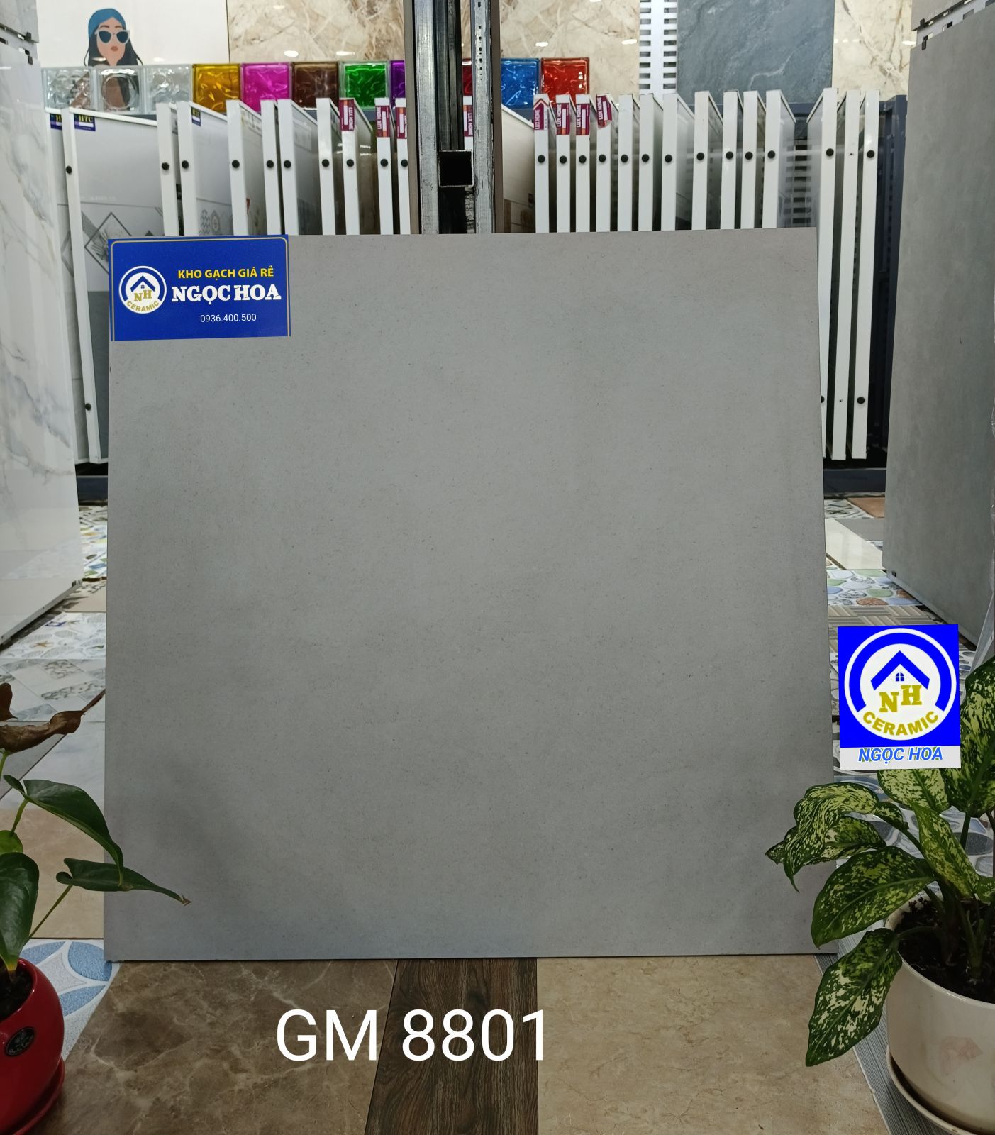 gạch ốp lát 8801