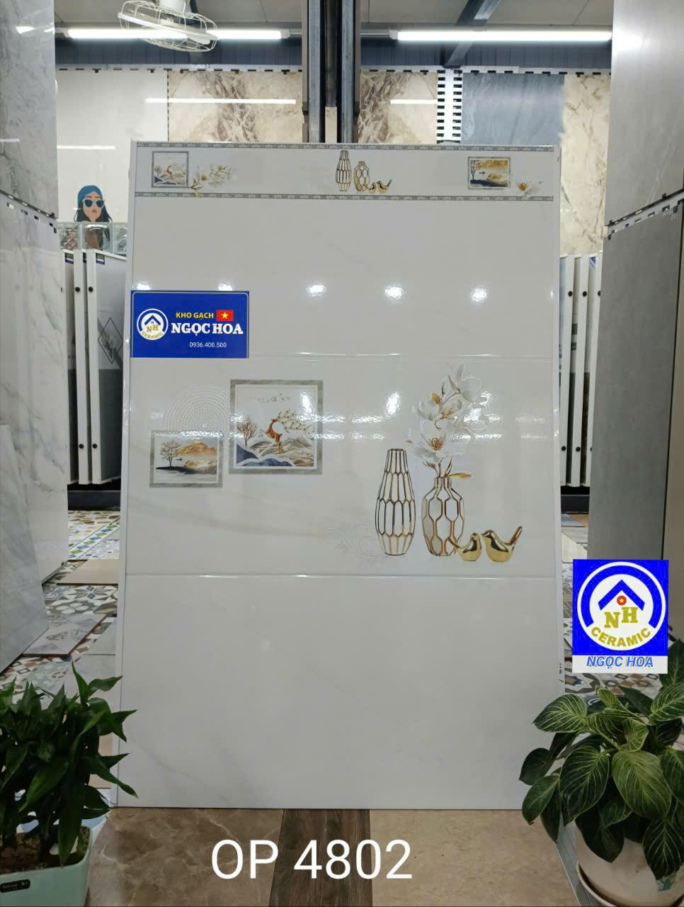 Gạch lát nền 4802