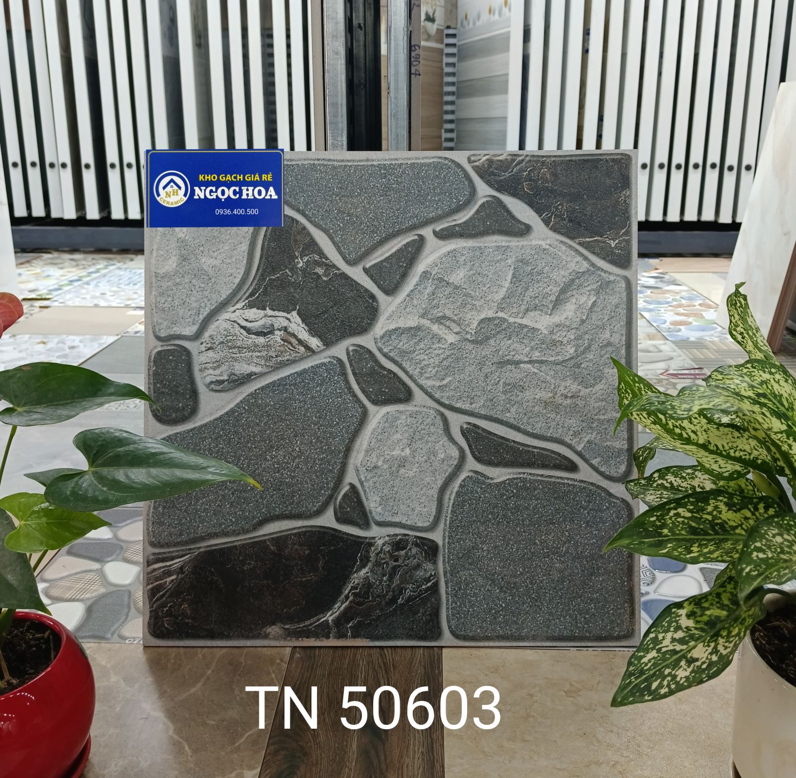 gạch sân vườn 50603