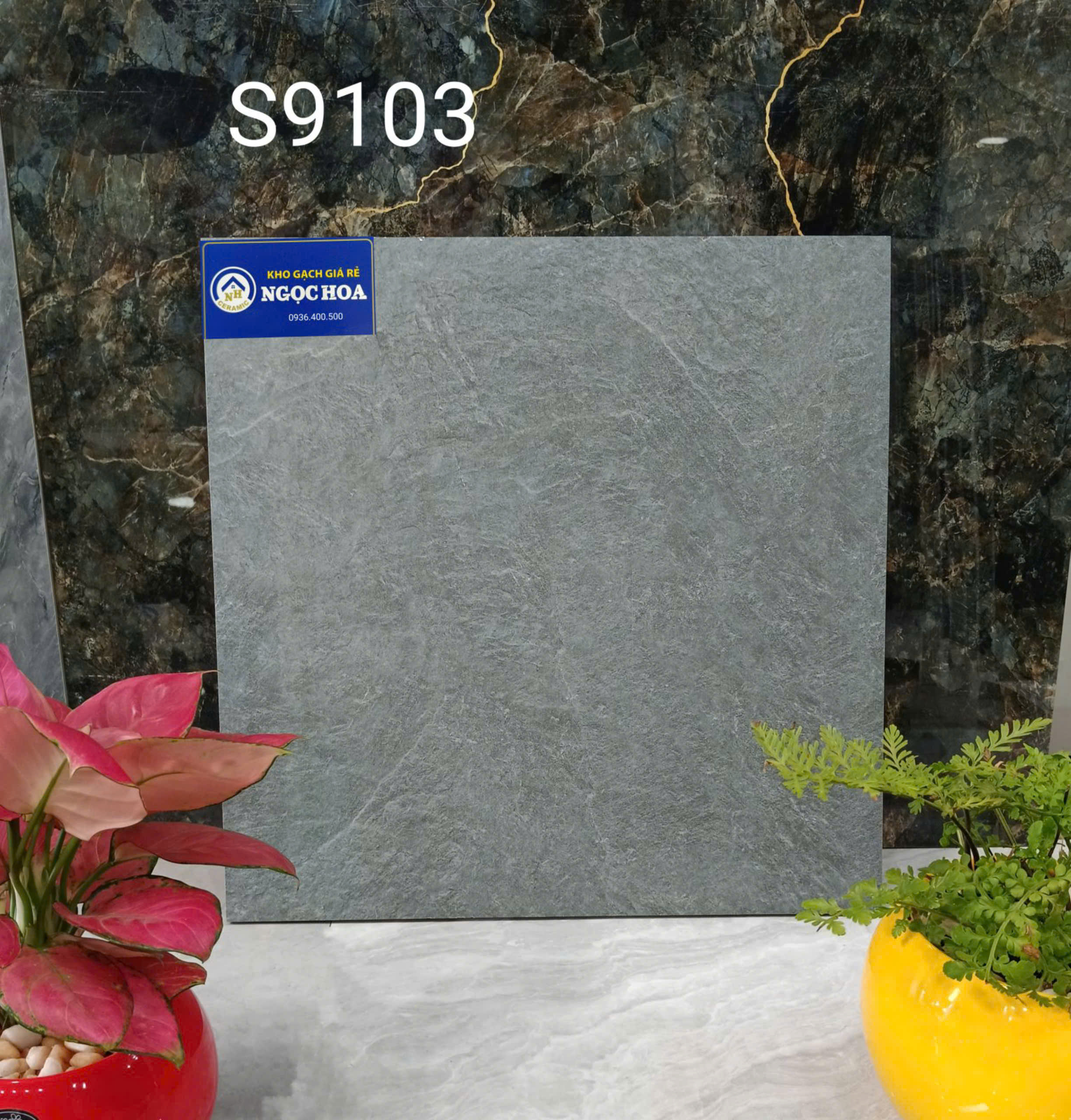 Gạch Granit lát sân vườn 9103