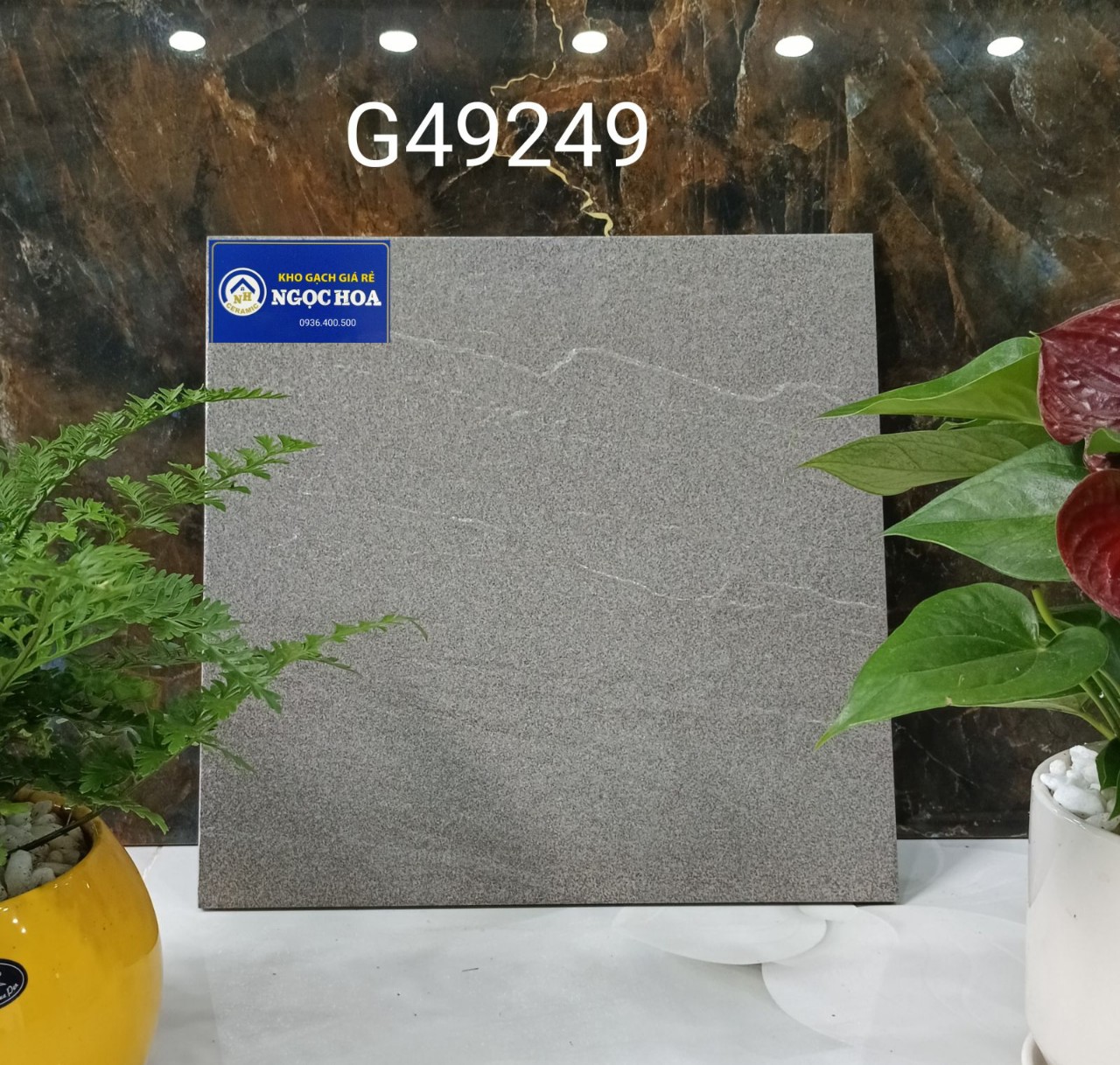 gạch sân vườn đồng chất G49249