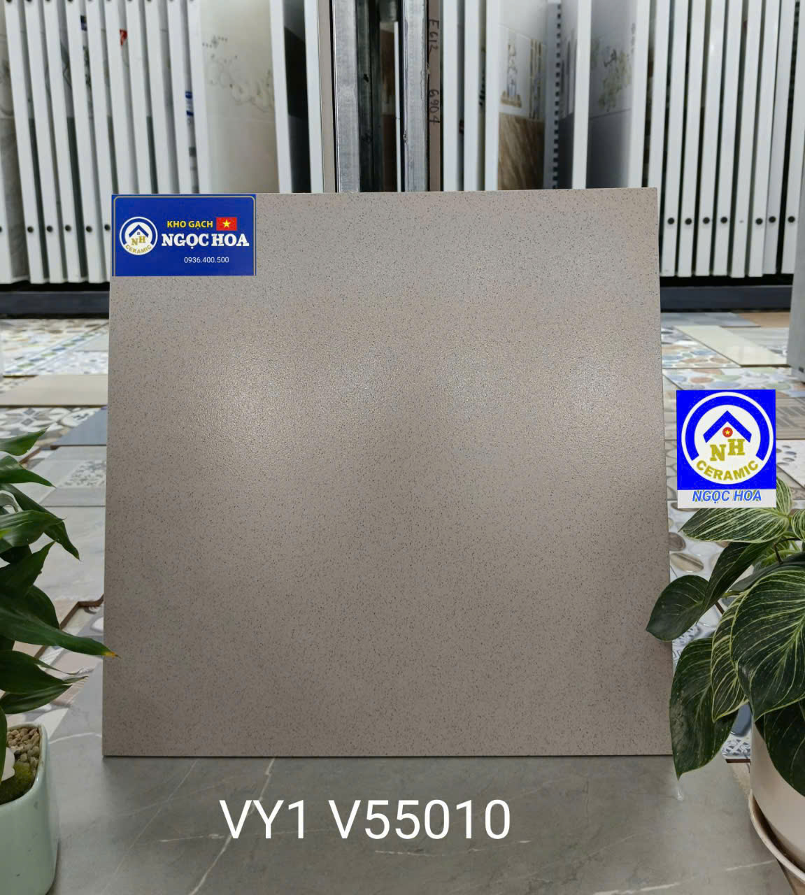 gạch sàn nước V55010